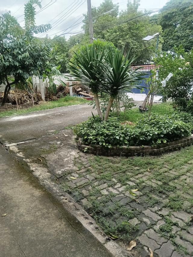 ที่ดินเปล่า 109 ตรว ใกล้ BTS สายหยุด 4