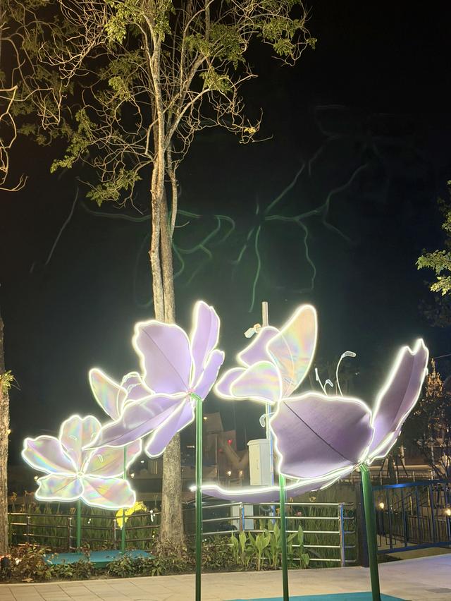 ขายที่ดิน เมืองน่าน อ.เมือง ต.กองควาย จ.น่าน 6