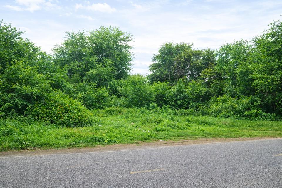 ขายที่ดินเปล่าแปลงสวย ทำเลดี ใกล้โรบินสัน กาญจนบุรี 2