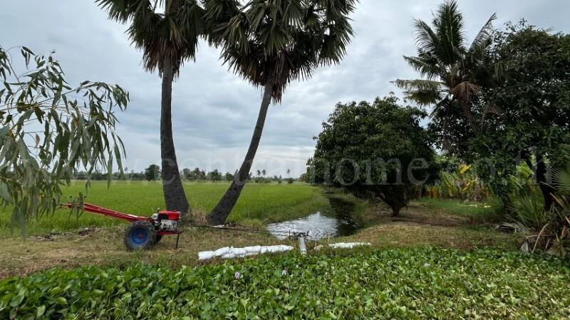 ที่ดิน 9-3-99.5 ไร่ ดอนโพธิ์ - สุพรรณบุรี มีผู้เช่า ทำเลดี 3