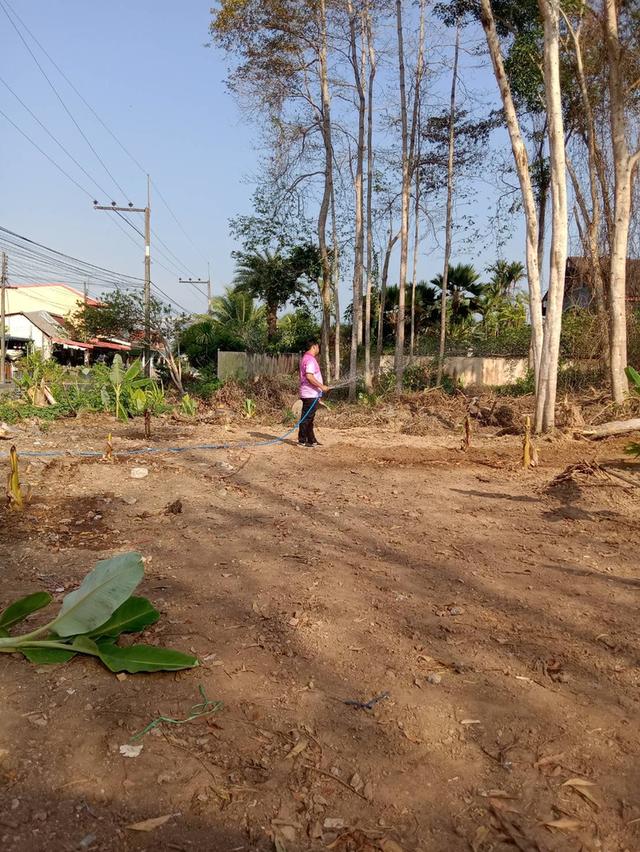 กันตัง ตรัง ขายที่ดินติดถนนในเมือง 5