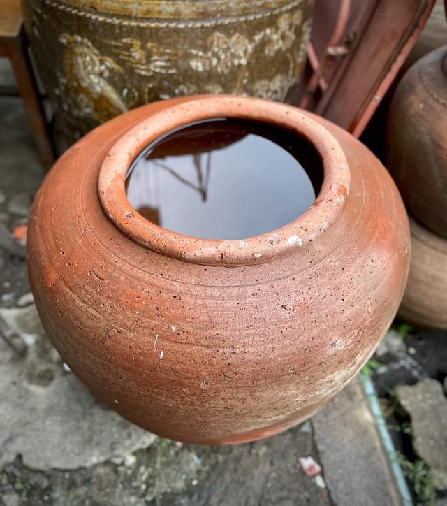 โอ่งดินแดงอยุธยา ใบใหญ่ ขนาด50ซม โอ่งดินเผาโบราณ 3