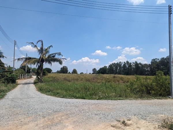 ขายที่ดินติดถนน 3 ด้าน 12-3-71 ไร่ ทำเลทอง ศุขประยูร - พนัสนิคม จ.ชลบุรี โทร 0818213624 3