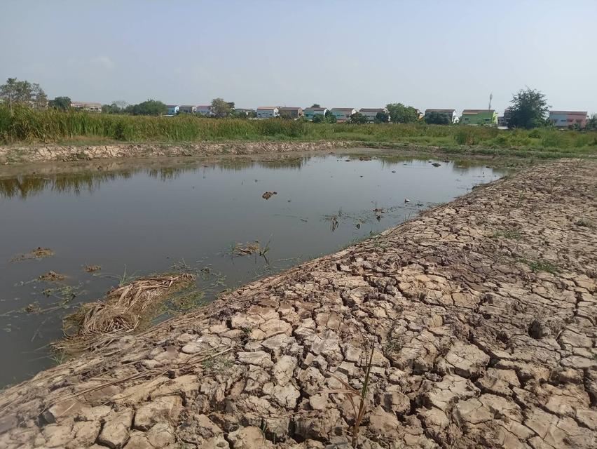 ขายที่ดินเปล่า 2 ไร่ ติดถนนคอนกรีต ซอยเทศบาลบางปู 83 11