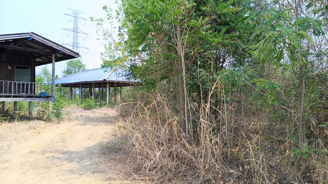 ที่ดินศักยภาพสูง ติดทางหลวง (สาย 1220) ต.ท่างาม อ.วัดโบสถ์ จ.พิษณุโลก 4
