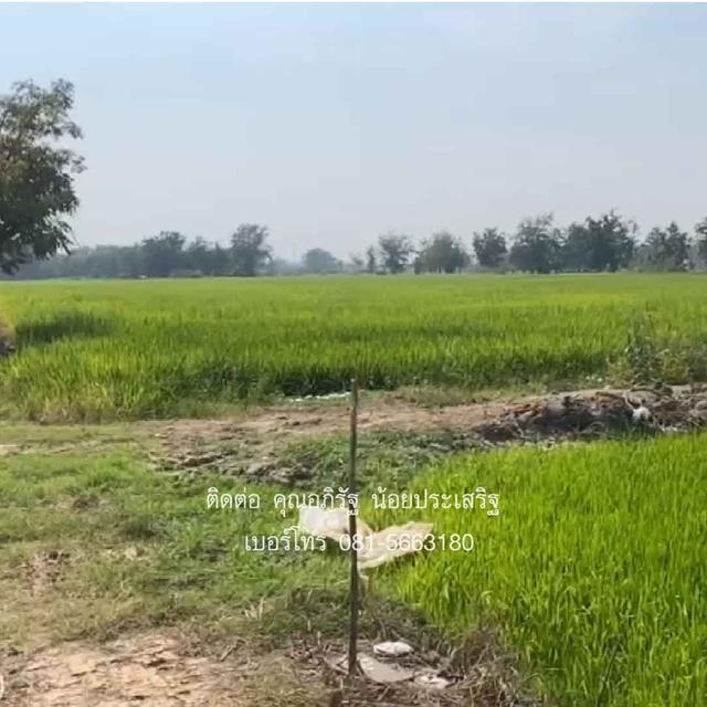 ที่ดินเปล่าราคาถูก 13 ไร่ 85 ตารางวา ตารางวาละ 1,000 บาท ต.หัวดง อ.เก้าเลี้ยว จ.นครสวรรค์ 5