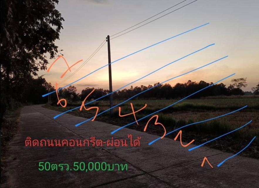 ขายที่ดินทำบ้านราคาถกๆ ขนาด50ตรว. 1