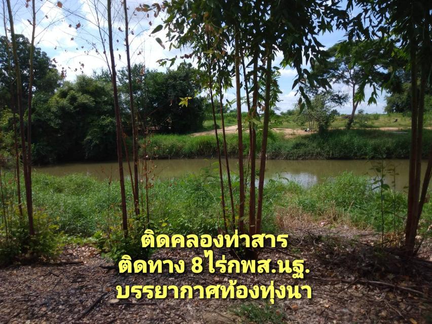 ที่ดินริมน้ำ ติดคลองท่าสารสายหลัก ได้ที่ฟรีอีกจำนวนหนึ่ง ที่สูงน้ำไม่ท่วม  8ไร่ 4