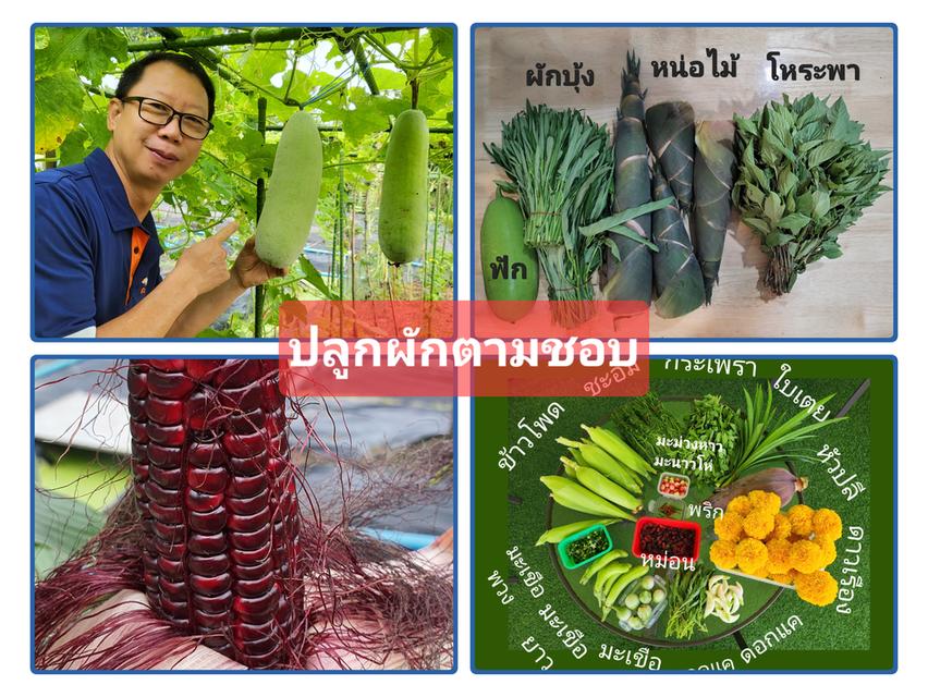 ขายต่ำกว่าทุนหลายล้าน บ้านน่ารักพร้อมสวนเกษตรรีสอร์ทเกือบ 2 ไร่ อ.นครชัยศรี 3.9 ล้าน 7