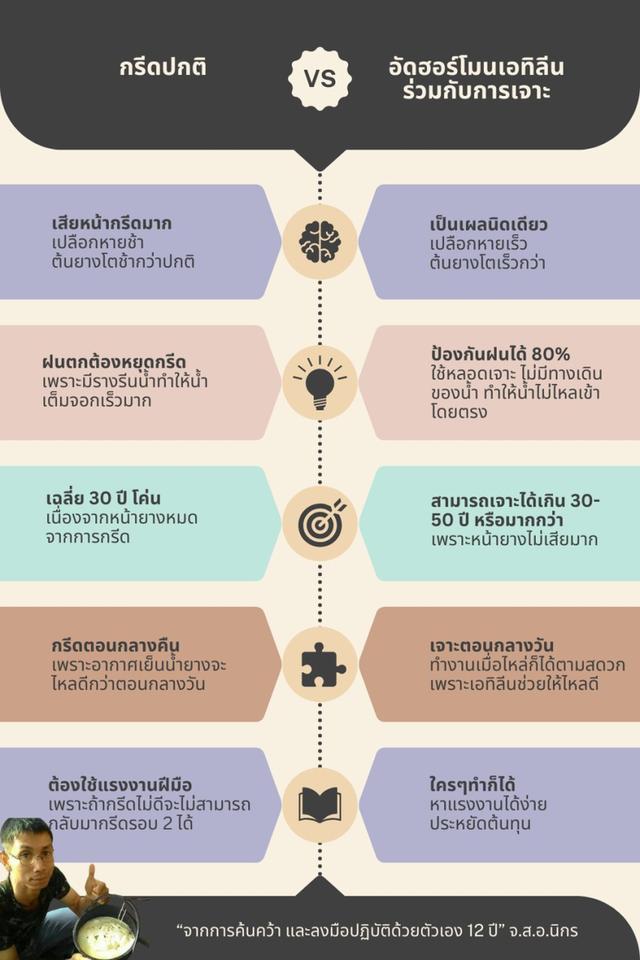 การเจาะยางพารา ด้วยเอทีลีน  8