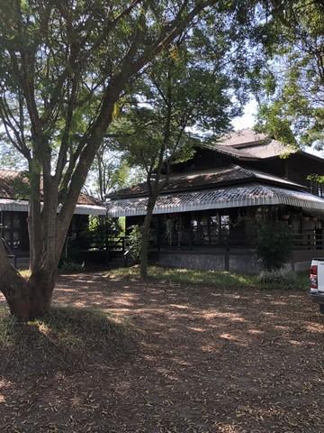 🏡 บ้านไม้ริมน้ำปิง พร้อมที่ดินผืนใหญ่ บรรยากาศธรรมชาติ 3