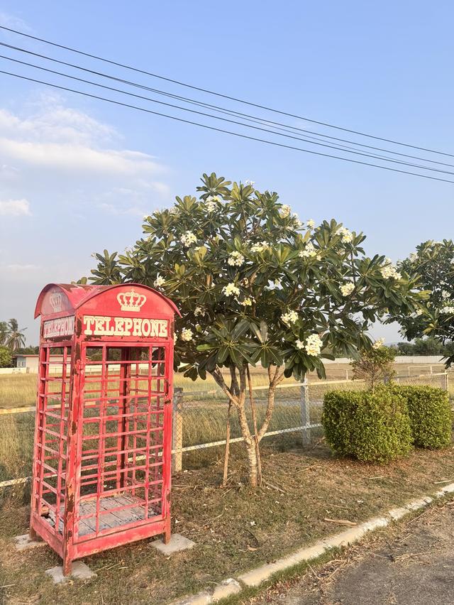 ที่ดิน ปากช่อง เขาใหญ่ โฉนดครุฑแดง 3
