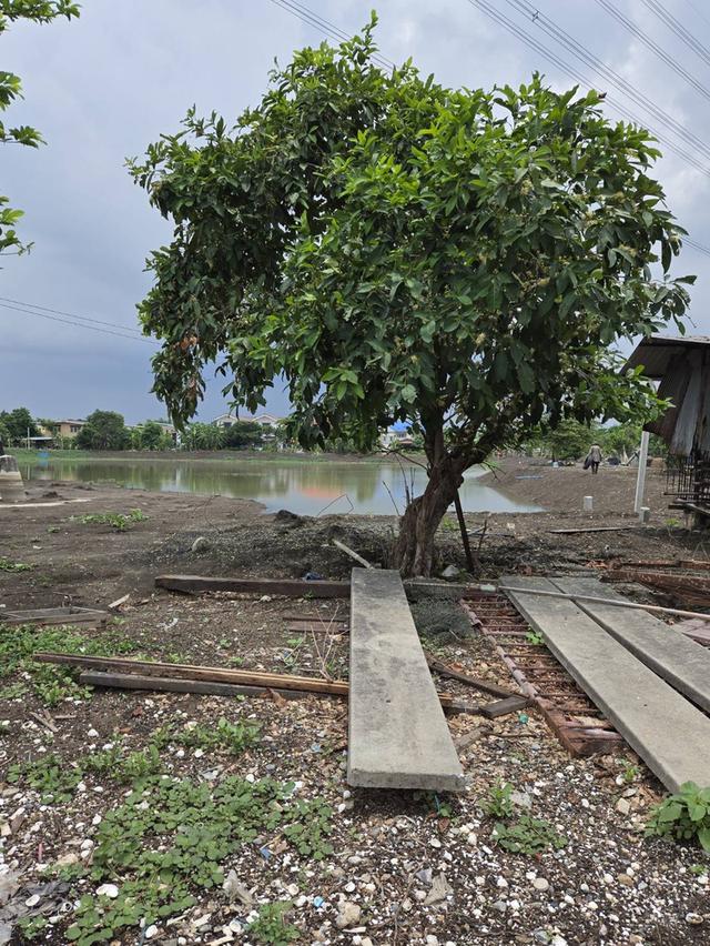ที่ดินว่างเปล่า 2