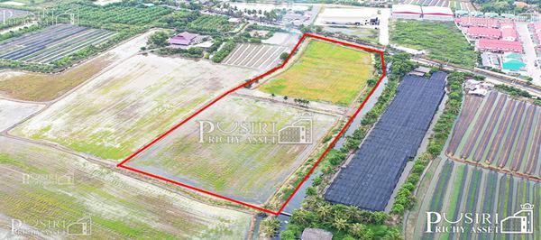 ซื้อทำกำไรได้มากกว่า 100 % ++ กับที่ทรงสวย 14 ไร่เศษ หน้ากว้าง 97 ม. ใกล้ ถ. ตัดใหม่ กัลปพฤกษ์ – พุทธสาคร KK5104S 3