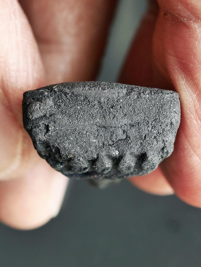 หลวงปู่ทวดเนื้อว่าน วัดช้างให้ พิมพ์ใหญ่ ปี 2524...เก่าๆ รูปที่ 10