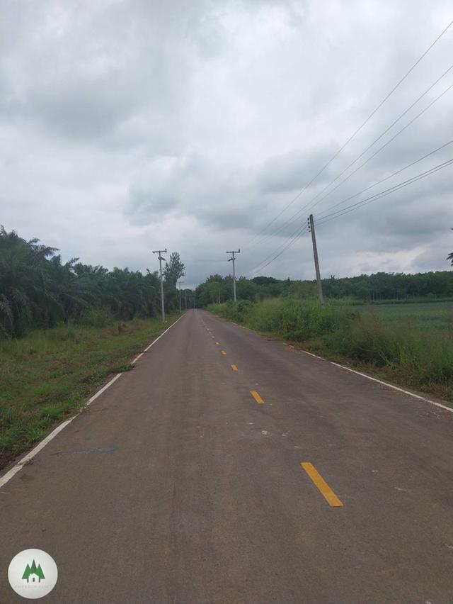 ขายที่ดินโฉนด สวนผึ้ง ไร่ละ 320,000 เนื้อที่ 61 ไร่ วิวเขาสุดสวย 2