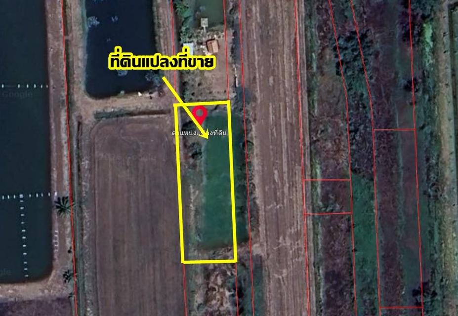ขายที่ดินเปล่า1 ไร่ ถนนเลียบคลองหนองขุม ใกล้มศว องครักษ์ นครนายก 8