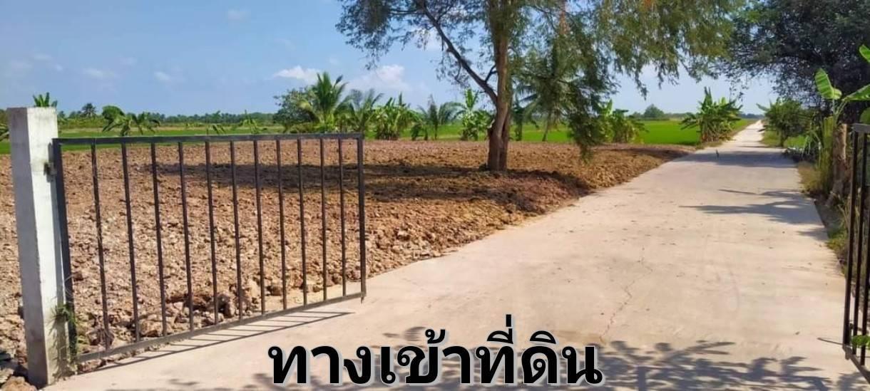 ที่ดินหนองจอกคลอง 13 1