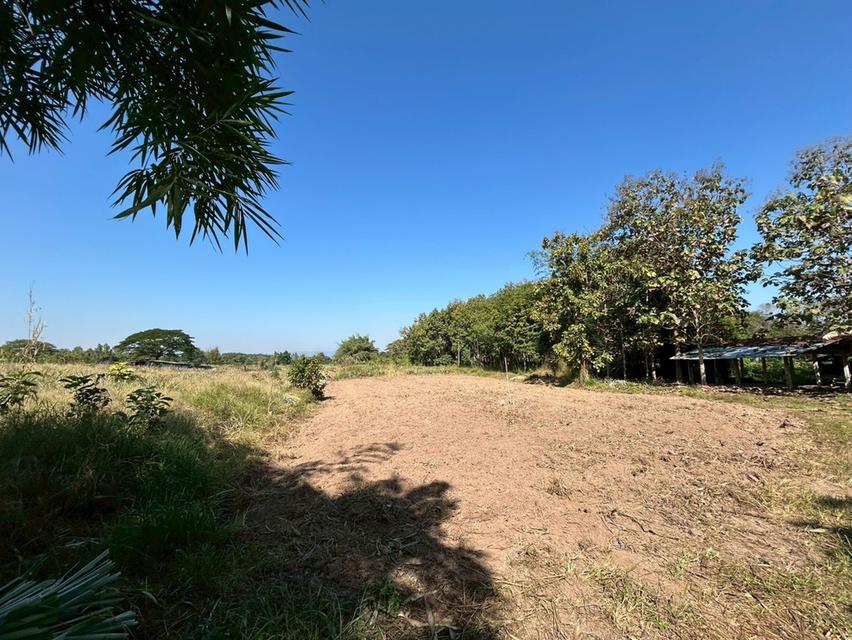 ขายที่ดินถูกกว่าราคาประเมิน 11