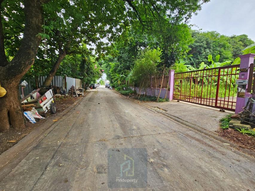 ขาย ที่ดินเปล่า 145 ตร.วา ซ.ปุณณวิถี 43 สุขุมวิท 101 ถนนกว้าง แปลงสี่เหลี่ยม 6