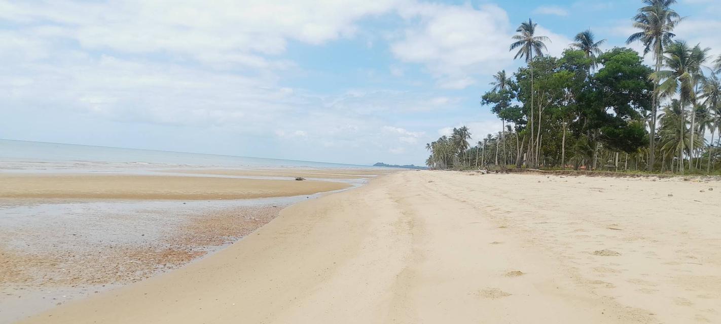 開放販售 靠近大海的土地 2