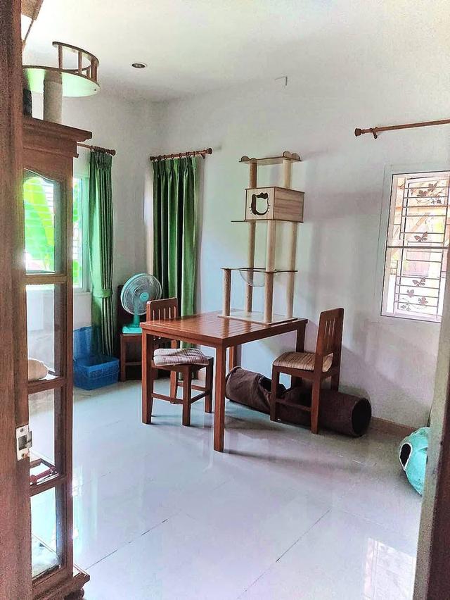 🏠 ให้เช่าบ้านเดี่ยวชั้นเดียว พื้นที่กว้าง ใกล้ รพ.ดารารัศมี 5