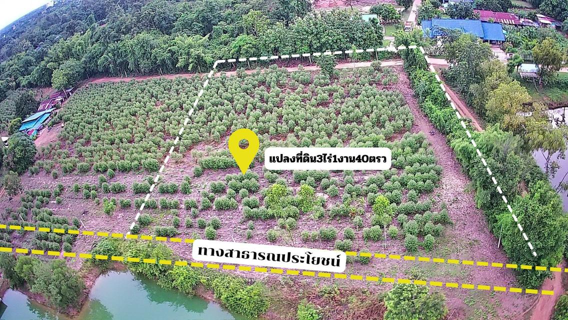 ขายที่ดินเมืองสระแก้ว 3 ไร่ หลังTOYOTAสระแก้ว ใกล้ถนนสุวรรณศร33-800เมตร จ.สระแก้ว 4