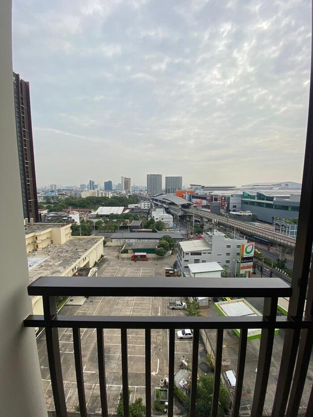 คอนโด 14