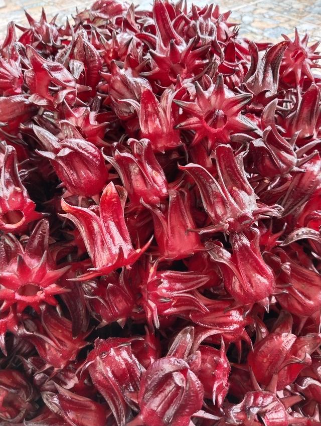 ดอกกระเจี๊ยบแดงแห้งอินทรีย์ 5