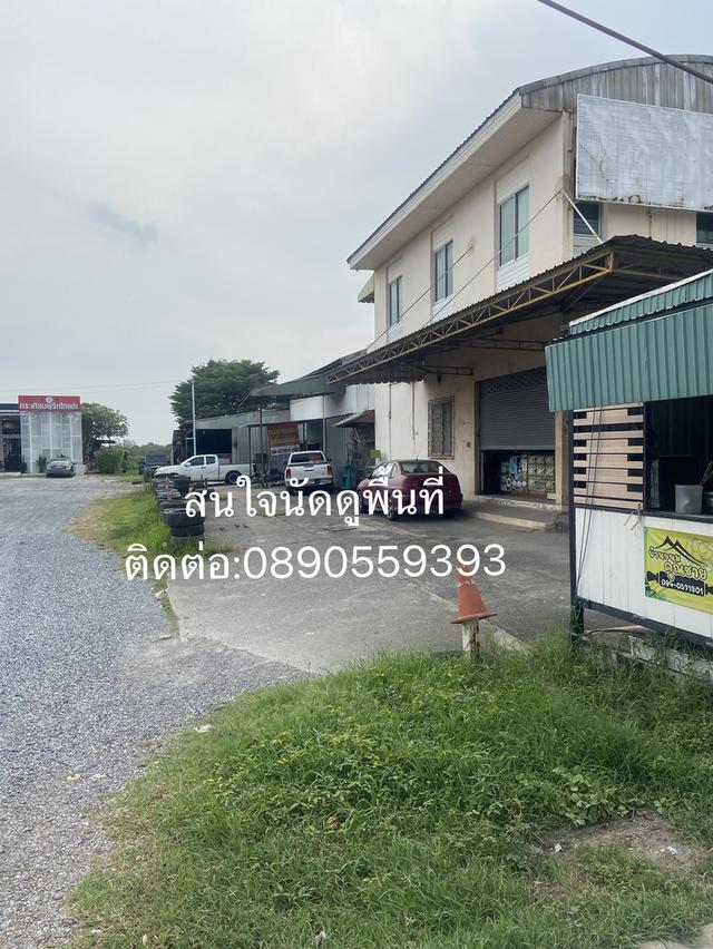 ขายที่ดินติดถนนใหญ่ ทำเลสวย  7