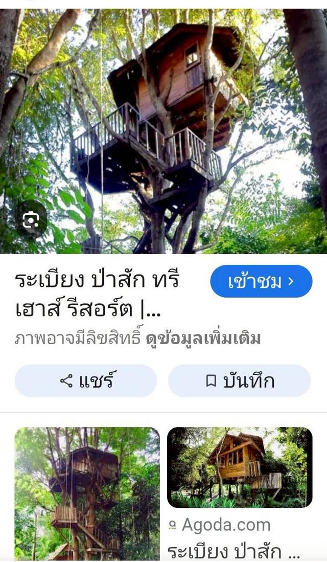 ที่ดินเปล่าวิวสวย เหมาะทำบ้านตากอากาศหรือรีสอร์ท ท่ามกลางธรรมชาติ 7