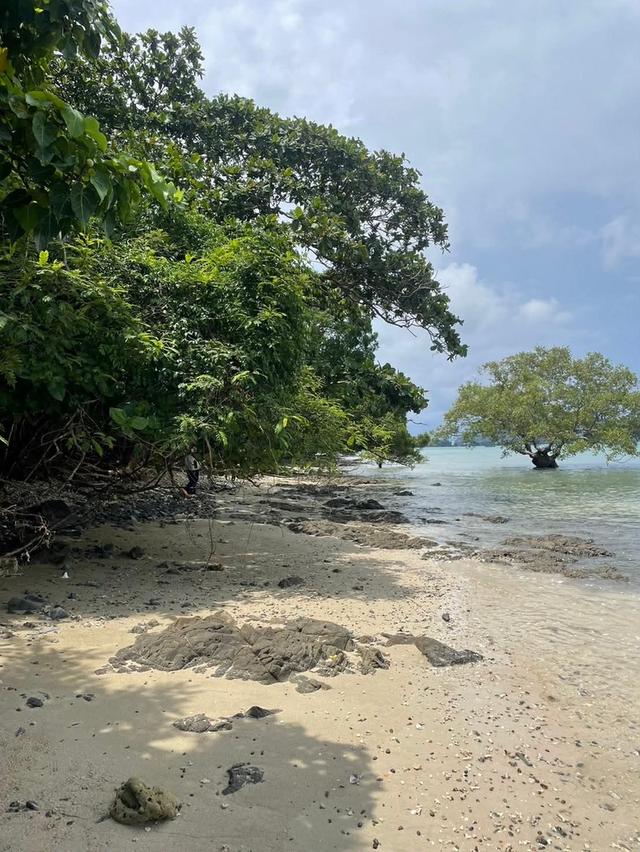 ขายที่ดินติดหาด เกาะโหลน จังหวัดภูเก็ต 1