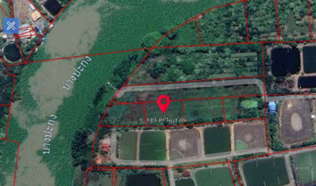 🌿ขายที่ดิน9ไร่กว่า วิวแม่น้ำบางปะกง ต.หัวไทร อ.บางคล้า เหมาะลงทุน-พัฒนาธุรกิจเชิงนิเวศหลายรูปแบบ 6