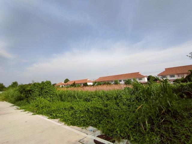 ที่ดิน ที่ดินเปล่าบางพลี บางนา ใกล้สุวรรณภูมิ area 1693 ตาราง-วา ใกล้กับ Mega Bangna, สนามบินสุวรรณภูมิ FOR SALE ที่ดินส 2