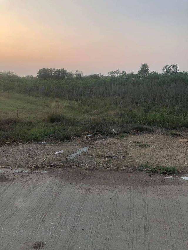 ขายที่ดิน 5