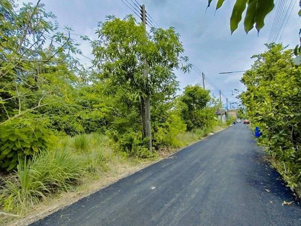 ขายที่ดินถมแล้ว 19.5 ตรว. เคหะคลองแปด อ.หนองเสือ จ.ปทุมธานี ติดถนน น้ำประปา ไฟฟ้า สะดวกสบาย โทร 095-165-3654 2