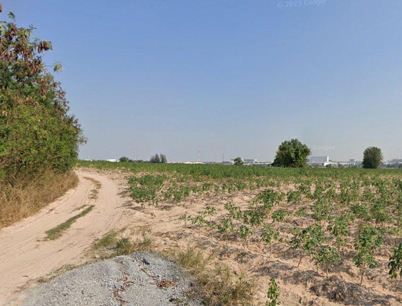 ขายที่ดินสีม่วงลายมาบยางพรติดคลอง 203 ไร่ ติดนิคมอมตะใกล้แยกนิคม(ถนนเส้น331)-6กม. อ.ปลวกแดง จ.ระยอง 3