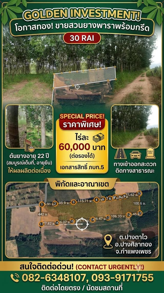 สวนยางพารา 30ไร่ อายุต้นยาง22ปี 1