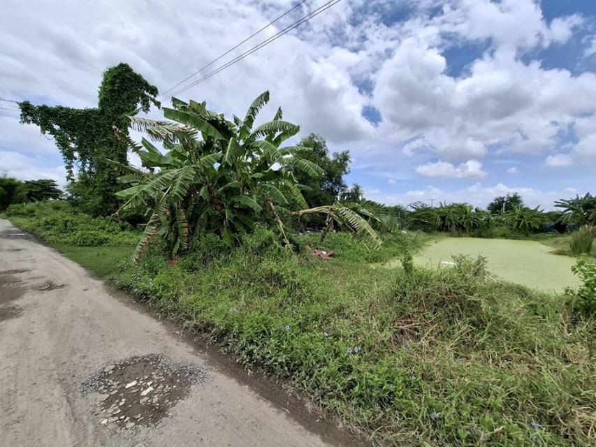ขาย ที่ดิน ซอยวัดสุขใจ 19 ขนาด 404 ตร.วา แปลงสี่เหลี่ยมสวย มีบ่อน้ำ เหมาะทำบ้านพักอาศัย หรือโกดัง 6