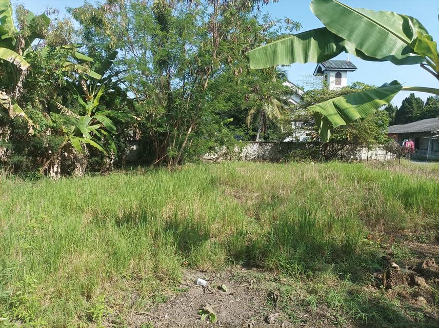 ขายที่ดิน 110ตร.ว. ต.ป่าป้อง อ.ดอนสะเก็ด จ.เชียงใหม่ 6