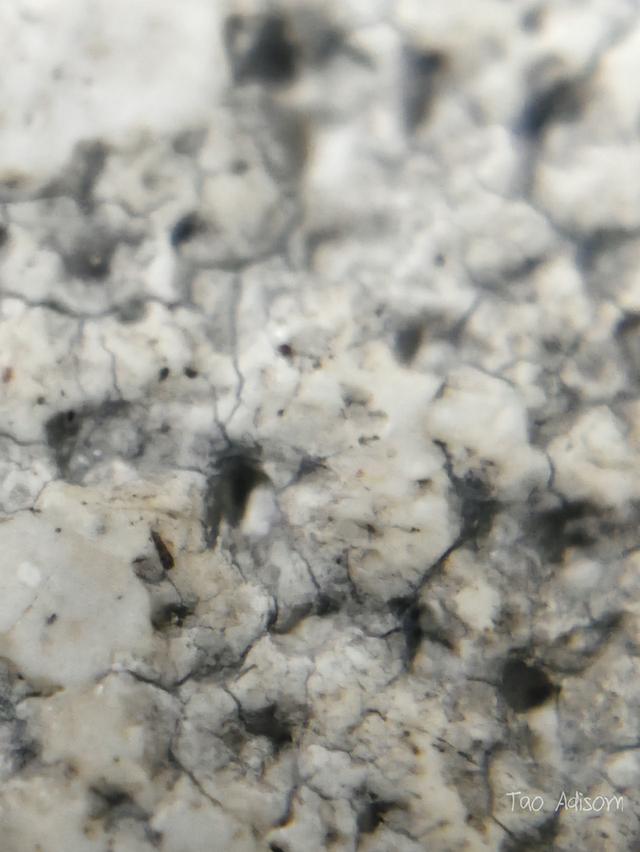 พระสมเด็จวัดระฆังโฆสิตาราม 12