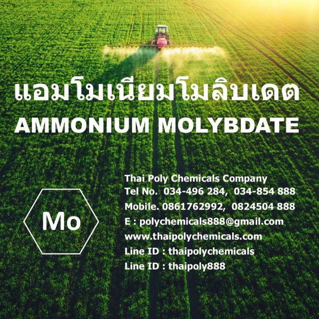 แอมโมเนียมโมลิบเดต, ผงจุลธาตุโมลิบดินัม, แอมโมเนียมโมลิบเดท, Ammonium Molybdate, Molybdenum, Micronutrients  1