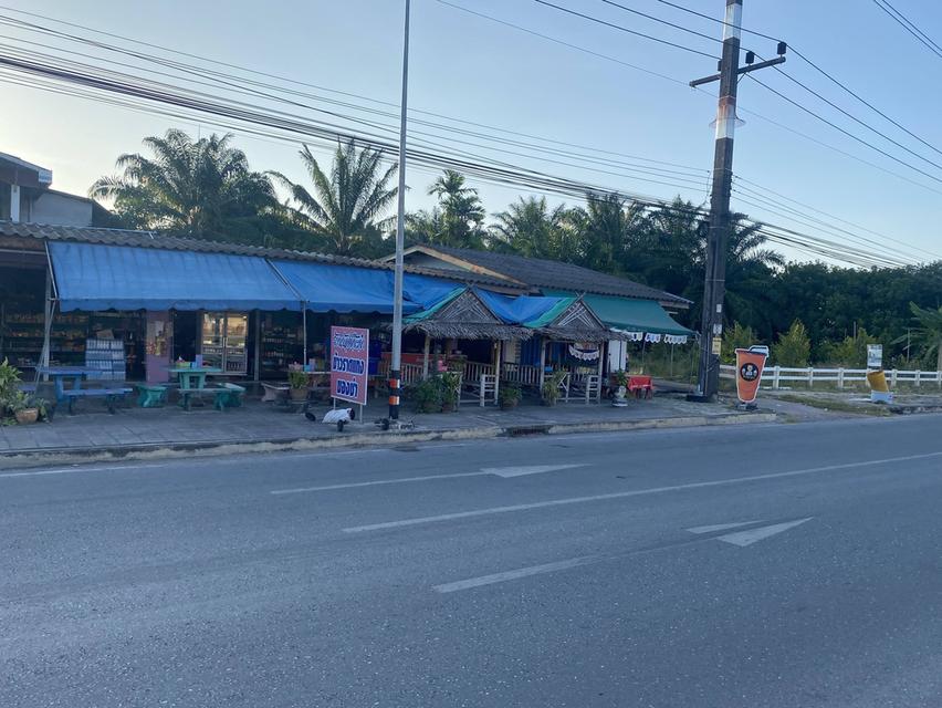 ที่ดินมีรายได้ ทำเลอนาคต ตรงข้ามโลตัสเวียงสระ 3