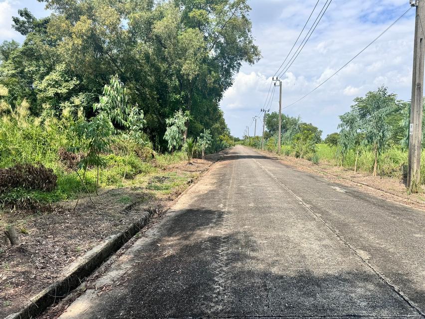 ขายที่ดินซอยสุวินทวงศ์47 เพียง2,500/ตร.วา ซอยธรรมรัตน์ (N.1434) 1