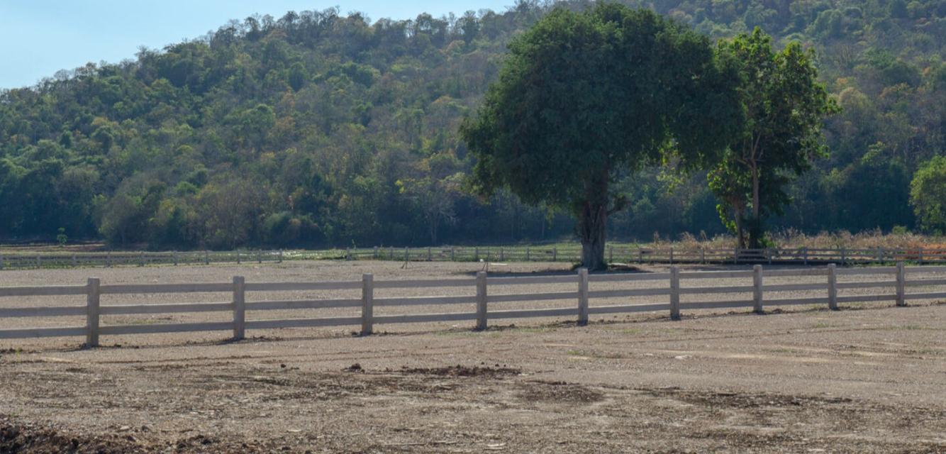 ขายที่ดินพร้อมปลูกสร้าง 8