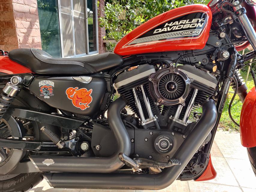 ขาย Harley Davidson 883R 1