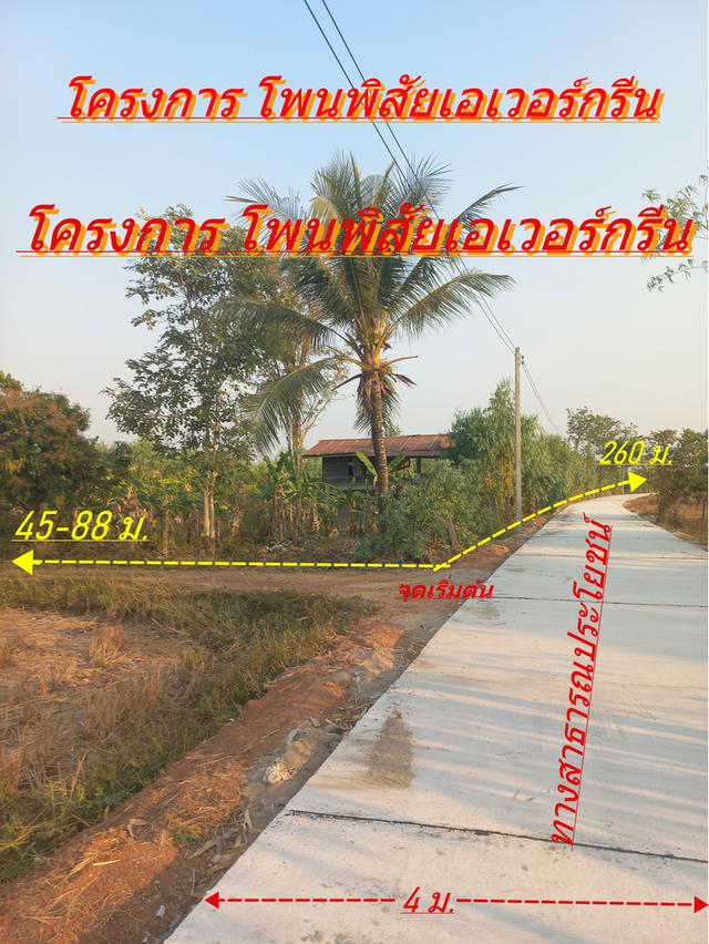 โครงการ โพนพิสัยเอเวอร์กรีน" ที่ดินแบ่งขาย⛽⛽หลังปั๊มน้ำมันปตท.บ.ถิ่นดุงในเขตเทศบาลต.วัดหลวง เทศบาลเมืองอ.โพนพิสัย จ.หนองคาย 22 9