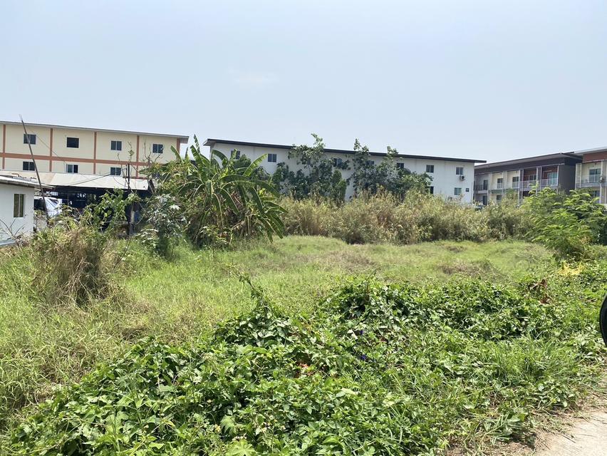 ขาย 10 ล้าน ยกแปลง ที่ดินถนนรอบเมืองเชียงใหม่ 081 336 9775 6
