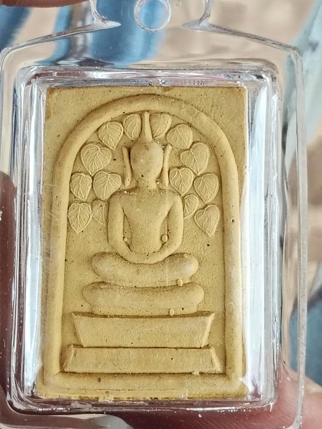 พระสมเด็จปรกโพธิ์หลวงปู่โต๊ะ