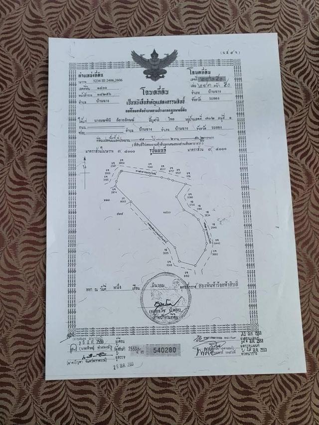 ที่ดินอำเภอบ้านฉาง จังหวัดระยอง 5